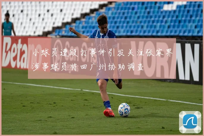 小球员遭殴打事件引发关注张家界涉事球员将回广州协助调查