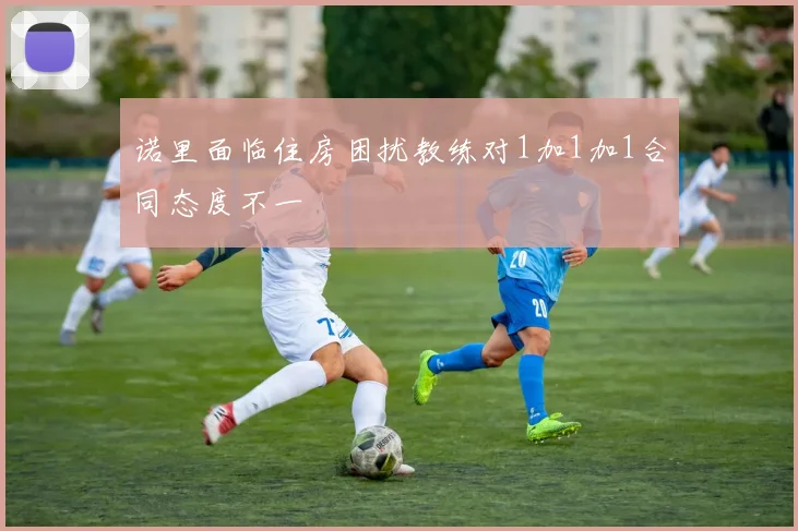 诺里面临住房困扰教练对1加1加1合同态度不一