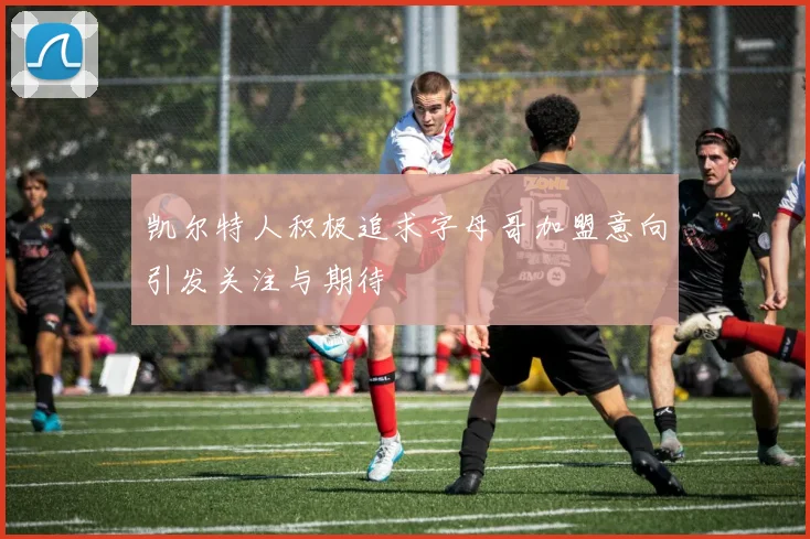 凯尔特人积极追求字母哥加盟意向引发关注与期待
